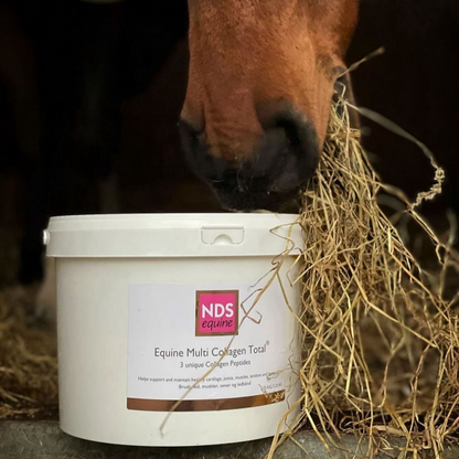 NDS® Equine Multi Collagen Total®